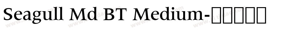 Seagull Md BT Medium字体转换